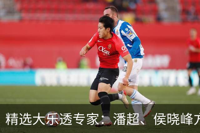 精选大乐透专家：潘超、侯晓峰方案同中748万