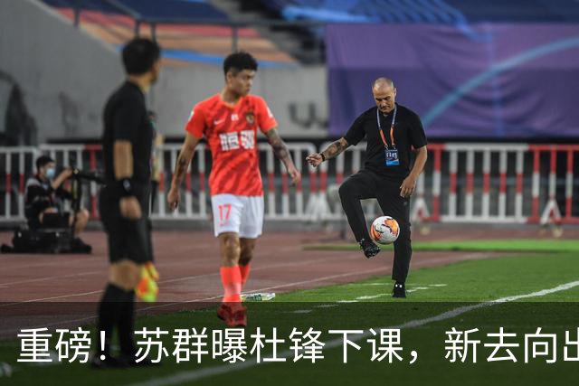重磅！苏群曝杜锋下课，新去向出炉，球迷喊话杨鸣接手，能行吗？